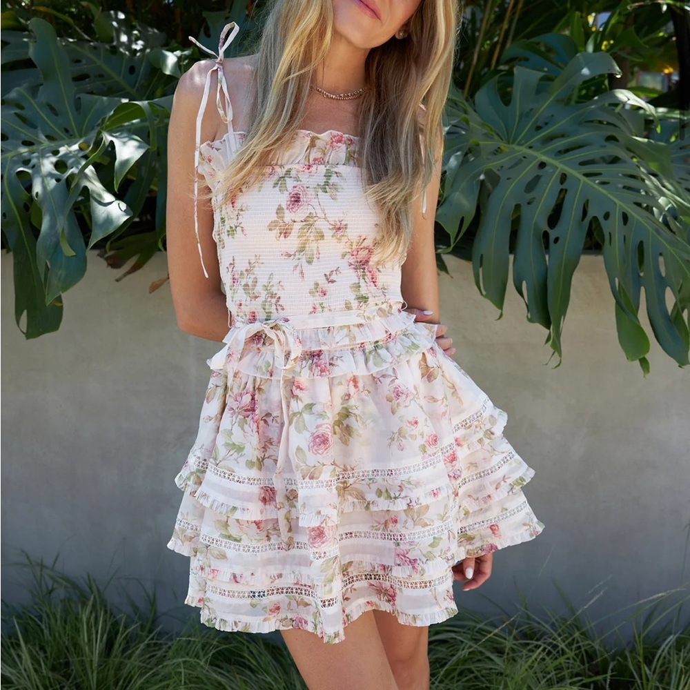NWT V. Chapman The Freesia Mini Dress in Pink Rose Print